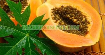 4 LOẠI TRÁI CÂY LÀM TĂNG VÒNG MỘT 4 LOẠI TRÁI CÂY LÀM TĂNG VÒNG MỘT