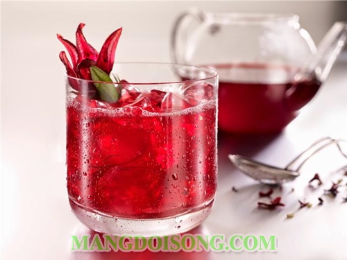 Cách ngâm hoa atiso đỏ với đường ngon làm nước uống để được lâu không bị nổi váng - Mạng Đời Sống