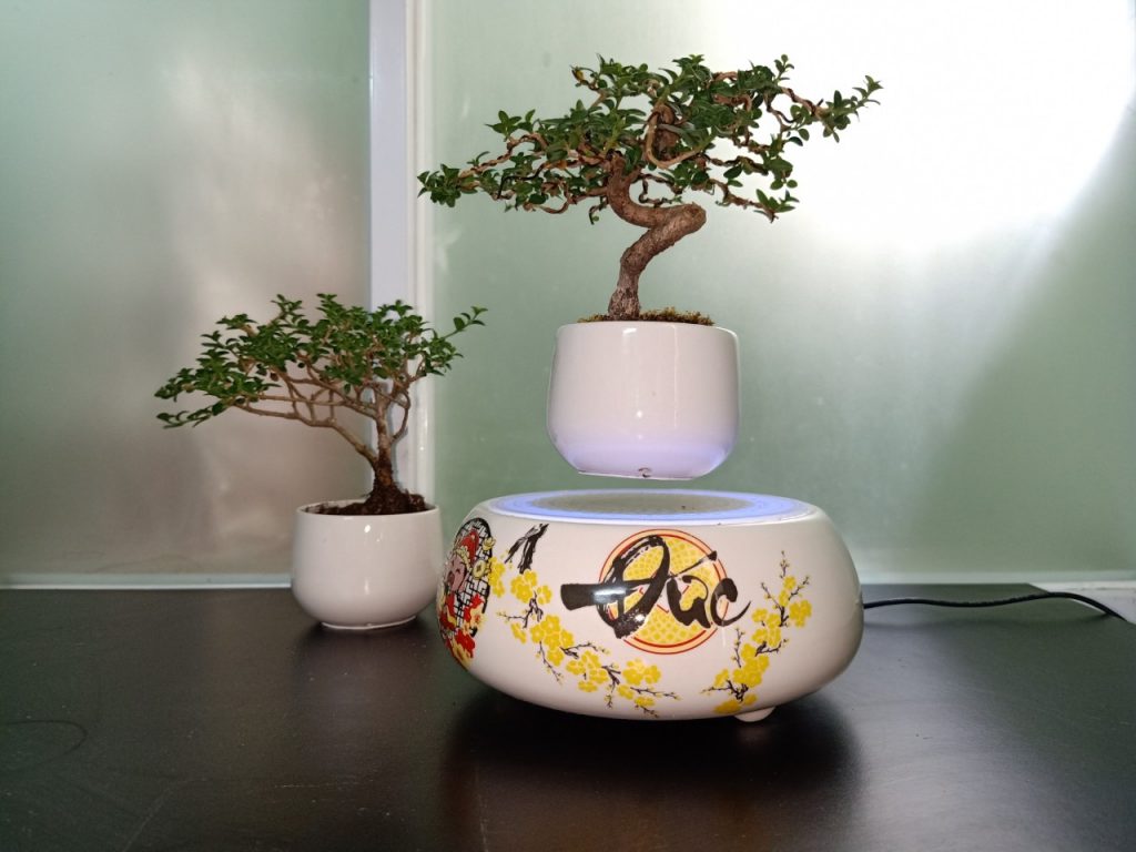 cay-bonsai-bay-4