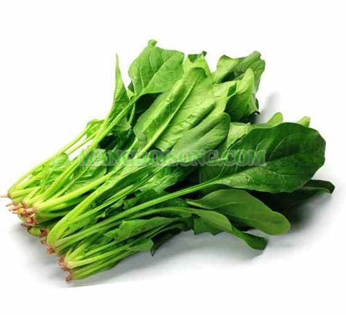 Thực phẩm mang đến cho bạn làn da tuyệt vời 9