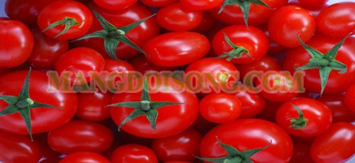 Thực phẩm mang đến cho bạn làn da tuyệt vời 5