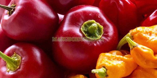 Top 10 loại thực phẩm tốt nhất giúp bạn giảm cân hiệu quả 4