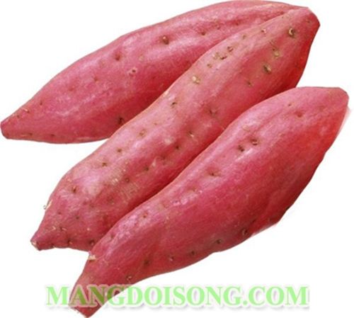 CÁCH CHIÊN KHOAI LANG NGON GIÒN TẠI NHÀ 1