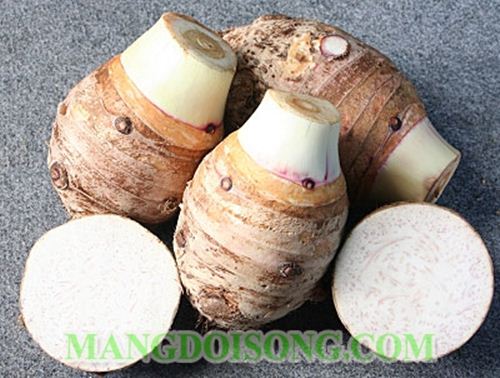 CÁCH CHIÊN KHOAI THƠM GIÒN TẠI NHÀ 1