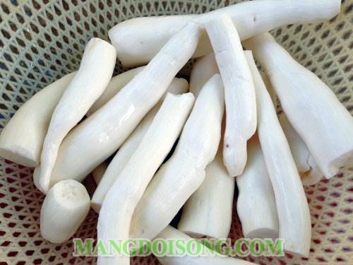 Cách làm bánh khoai mì nướng thơm ngon hấp dẫn 1
