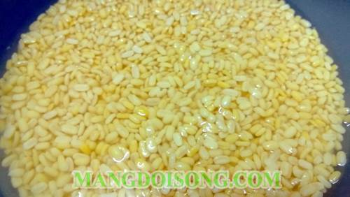 Cách làm bánh ổ đậu xanh thơm ngon đơn giản tại nhà 2