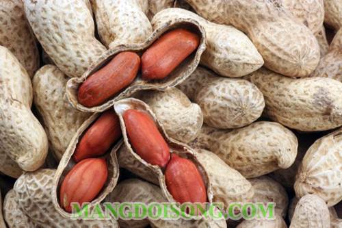 Cách làm bơ đậu phộng thơm ngon tại nhà cực kì đơn giản 1
