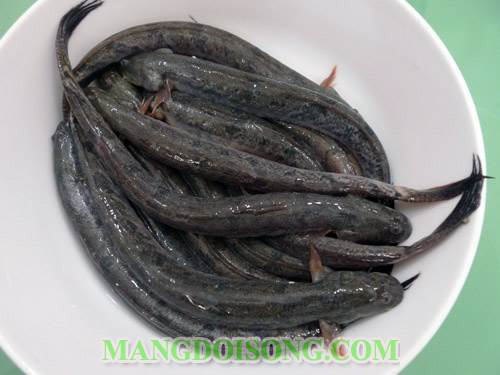 CÁCH LÀM CÁ KÈO NƯỚNG MUỐI ỚT NGON NHANH DỄ LÀM 1