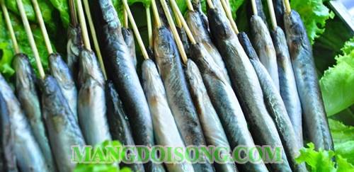 CÁCH LÀM CÁ KÈO NƯỚNG MUỐI ỚT NGON NHANH DỄ LÀM 2