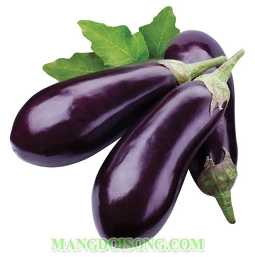 CÁCH LÀM CÀ TÍM NƯỚNG MỠ HÀNH NGON CHO BỮA ĂN THÊM PHONG PHÚ 1