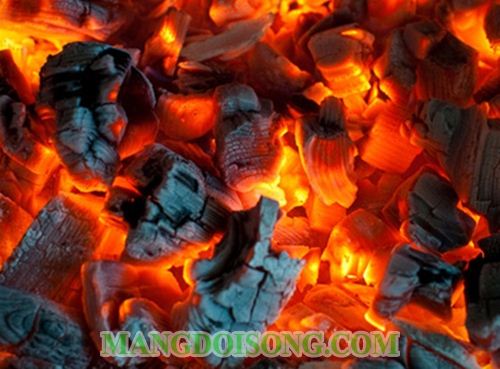 CÁCH LÀM CÀ TÍM NƯỚNG MỠ HÀNH NGON CHO BỮA ĂN THÊM PHONG PHÚ 3