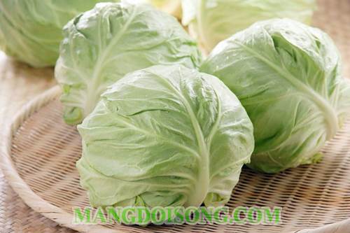 Cách nấu canh chua bắp cải ngon mát cho bữa ăn hàng ngày 1