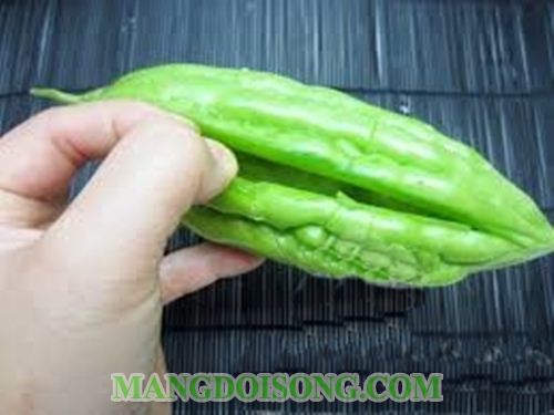 CÁCH LÀM CANH KHỔ QUA CHAY CHO NGÀY ĐẦU NĂM MỚI THÊM THANH TỊNH 2
