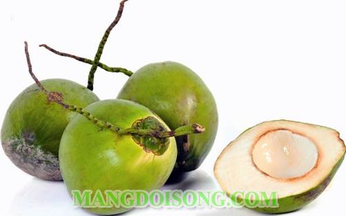 CÁCH LÀM GIẤM BẰNG NƯỚC DỪA MỘT GIA VỊ QUAN TRỌNG TRONG CÁC MÓN ĂN 1