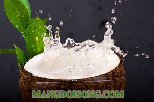 CÁCH LÀM GIẤM GẠO NẾP THƠM NGON DÙNG LÀM GIA VỊ CHO BẾP NHÀ BẠN 2