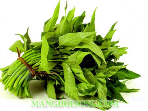 Cách làm gỏi rau muống tép thịt thơm ngon ăn hoài không ngán 1