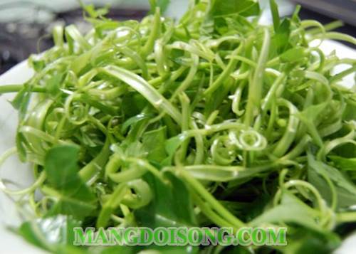 Cách làm gỏi rau muống tép thịt thơm ngon ăn hoài không ngán 2