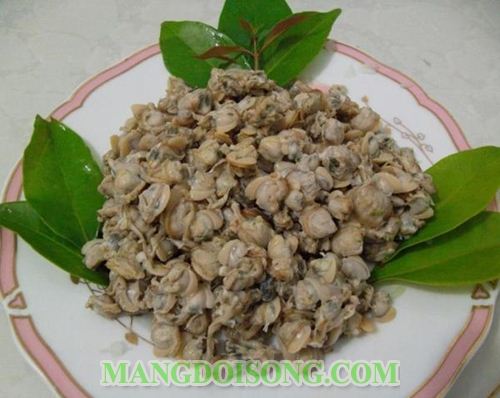 CÁCH LÀM HẾN XÀO SA TẾ CAY NGON CHO TIỆC NHẬU 2