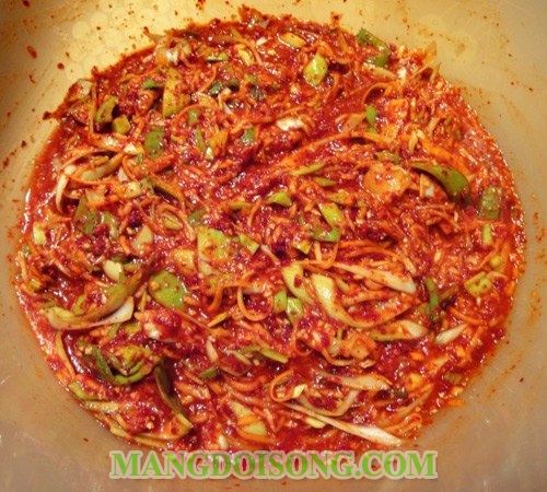 CÁCH LÀM KIM CHI CẢI THẢO HÀN QUỐC NGON CHO BỮA CƠM THÊM THÚ VỊ 3