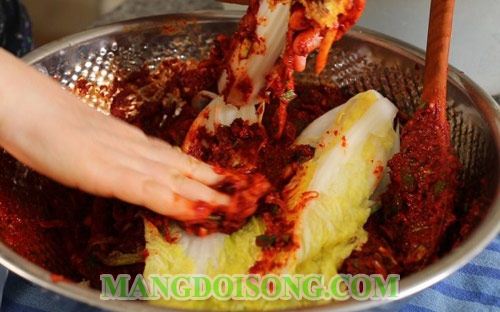 CÁCH LÀM KIM CHI CẢI THẢO HÀN QUỐC NGON CHO BỮA CƠM THÊM THÚ VỊ 4