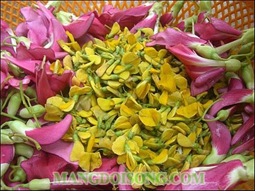 CÁCH LÀM LẨU CHAY BÔNG CHUA CAY LÀM LIỀN TAY ĂN MÊ SAY 1