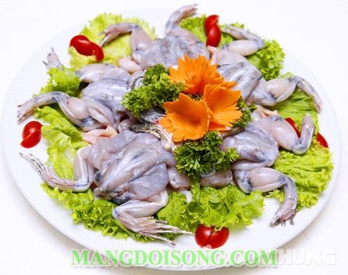 CÁCH LÀM LẨU ẾCH THƠM NGON BỔ DƯỠNG CHO MÙA ĐÔNG THÊM ẤM 2