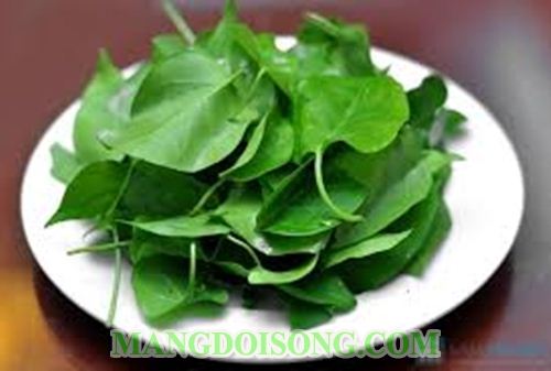 CÁCH LÀM LẨU GÀ LÁ GIANG NGON CHUA CAY ĂN MÊ SAY 2