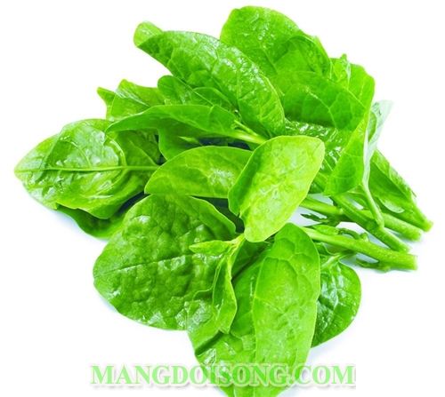 CÁCH LÀM LẨU MỰC NGON MÀ CỰC KÌ ĐƠN GIẢN 2