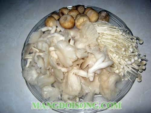 CÁCH LÀM LẨU NẤM CHAY THẬP CẨM NGON ĐẸP MẮT 2