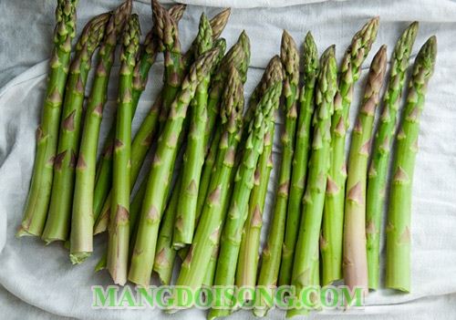 CÁCH LÀM MĂNG TÂY XÀO NẤM ĐÙI GÀ NGON CHO NHỮNG NGƯỜI ĂN CHAY 1