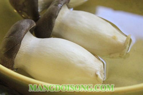 CÁCH LÀM MĂNG TÂY XÀO NẤM ĐÙI GÀ NGON CHO NHỮNG NGƯỜI ĂN CHAY 2