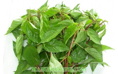 CÁCH LÀM MÓN CANH MƯỚP RAU ĐAY NGON NGỌT 2