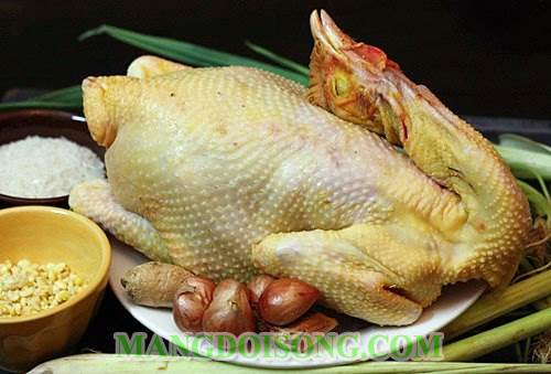 Cách làm món phượng hoàng ấp trứng ngon độc lạ miệng 1