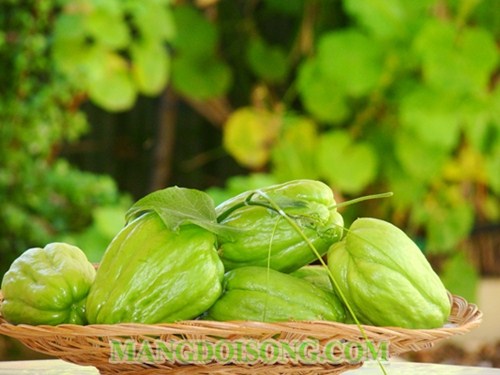 CÁCH LÀM MÓN SU SU XÀO THỊT BÒ NGON KHÔNG BỊ MỀM 1