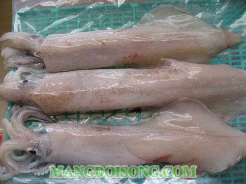 Cách làm mực xào tỏi cho bữa cơm tối ấm áp 1