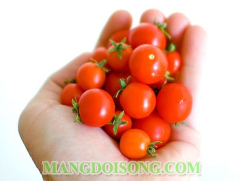 CÁCH LÀM MỨT CÀ CHUA BI NGON ĐẸP HẤP DẪN ĂN CHƠI NGÀY TẾT 2