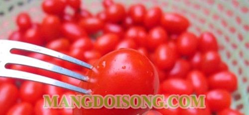 CÁCH LÀM MỨT CÀ CHUA BI NGON ĐẸP HẤP DẪN ĂN CHƠI NGÀY TẾT 3