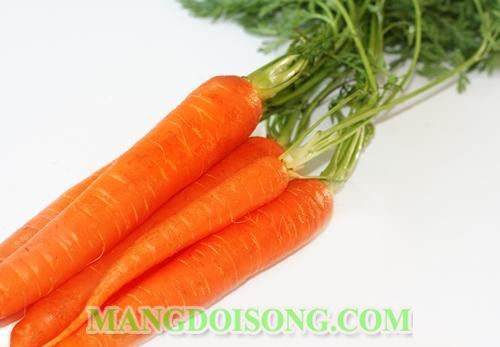 CÁCH LÀM MỨT CÀ RỐT NGON GIÒN ĐƠN GIẢN CHO TẾT VUI VẺ ĐÓN XUÂN VỀ 1