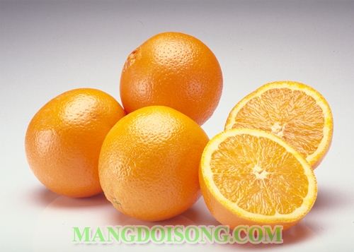CÁCH LÀM MỨT CAM NGON ĐẸP MẮT ĐỂ ĐÓN TẾT 1