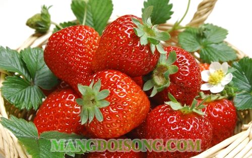 CÁCH LÀM MỨT DÂU TÂY NGỌT NGÀO CHO MÙA ĐÔNG LÃNG MẠN 1