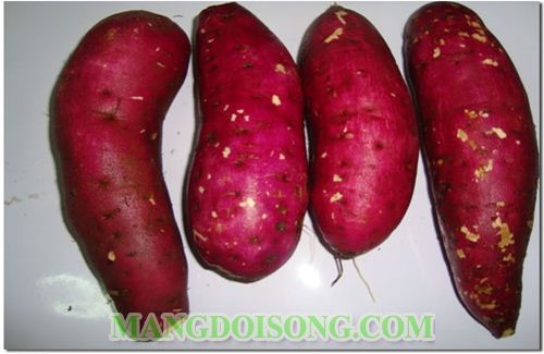 CÁCH LÀM MỨT KHOAI LANG NGON BỔ RẺ CHO NGÀY TẾT THÊM VUI 1