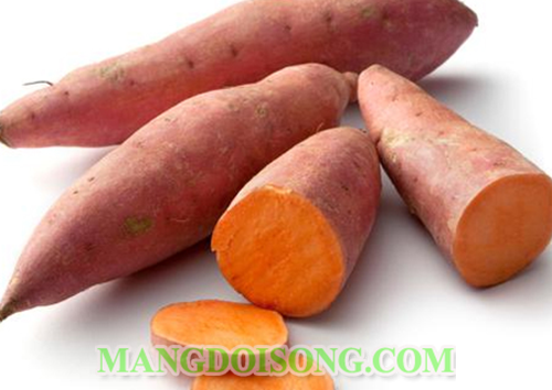 CÁCH LÀM MỨT KHOAI LANG NHANH NGON TỐT CHO SỨC KHỎE VÀO NGÀY TẾT 1