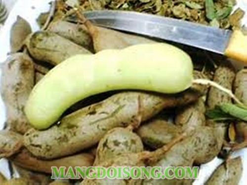 CÁCH LÀM MỨT ME TRONG CHUA NGỌT NHÌN LÀ THÈM ĂN LÀ KHEN 2