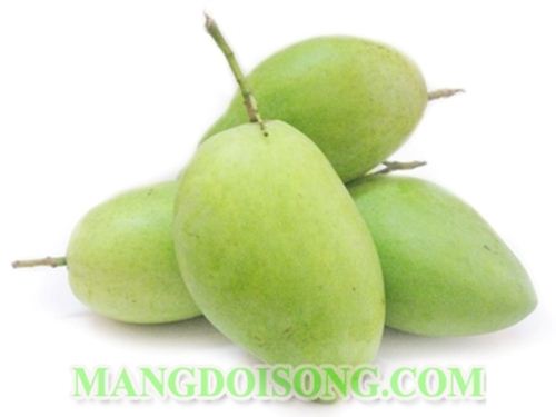 CÁCH LÀM MỨT XOÀI CHUA NGỌT NGON MÊ SAY 1
