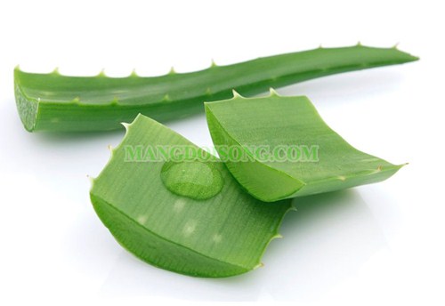 CÁCH LÀM NHA ĐAM ĐƯỜNG PHÈN LÁ DỨA CỰC KÌ NGON VÀ MÁT 1