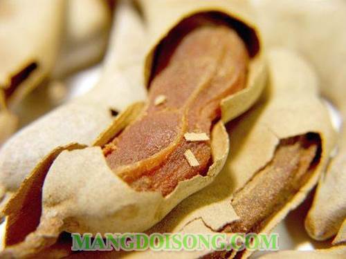 CÁCH LÀM Ô MAI ME CAM THẢO NGON CHỮA BỆNH HO CHO NGÀY TẾT 1