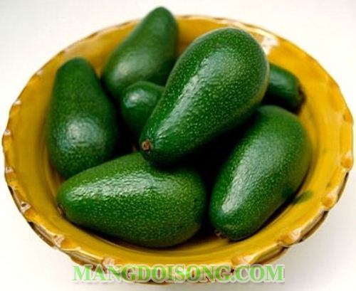 CÁCH LÀM SALAD BƠ BẮP NGỌT NGON CHO BỮA ĂN THÊM XANH 1