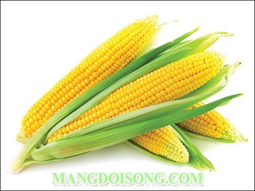 CÁCH LÀM SALAD BƠ BẮP NGỌT NGON CHO BỮA ĂN THÊM XANH 2
