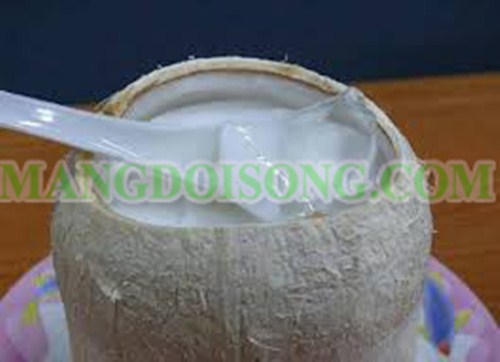 CÁCH LÀM THẠCH DỪA NGON NGỌT MÁT LẠNH CHO MÙA HÈ 3