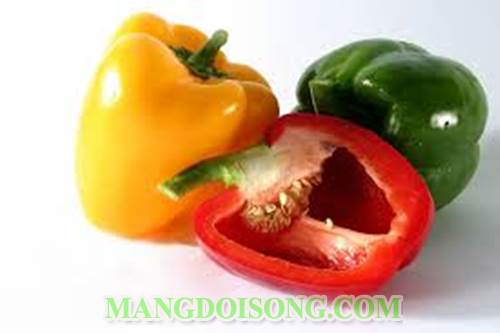 Cách làm thịt bò xào ớt đà lạt ngon cho bữa tiệc xuân 1